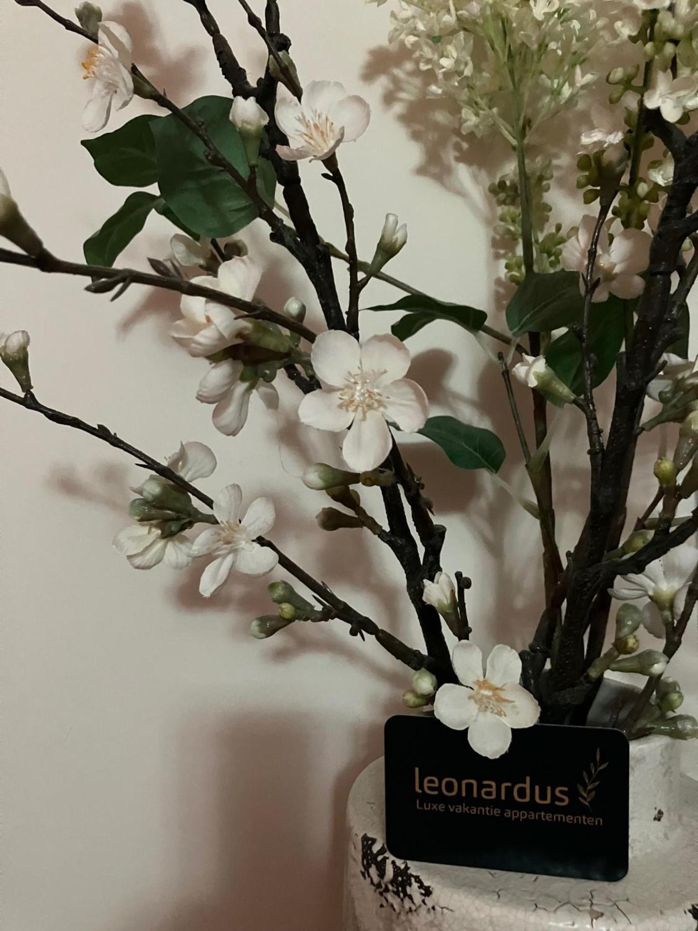 Valkenburg aan de Geul Luxe Appartementen Leonardus מראה חיצוני תמונה